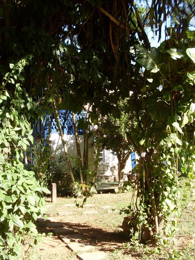 Hotel Fazenda Barra Alegre Sao Jose do Goiabal Dış mekan fotoğraf