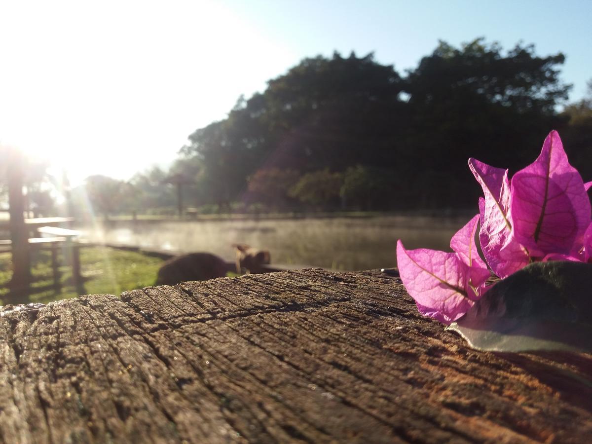 Hotel Fazenda Barra Alegre Sao Jose do Goiabal Dış mekan fotoğraf